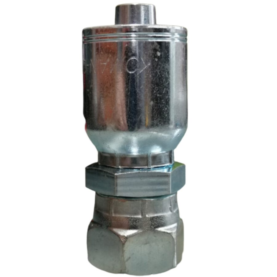 [K2020-0606] HEMBRA BRITANICA, NARIZ DE BOLA  (FBSPORX) 0606